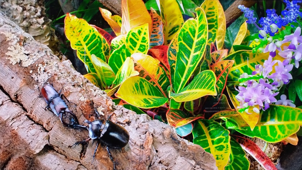 Foto: Naturaleza - Jerez de la Frontera (Cádiz), España