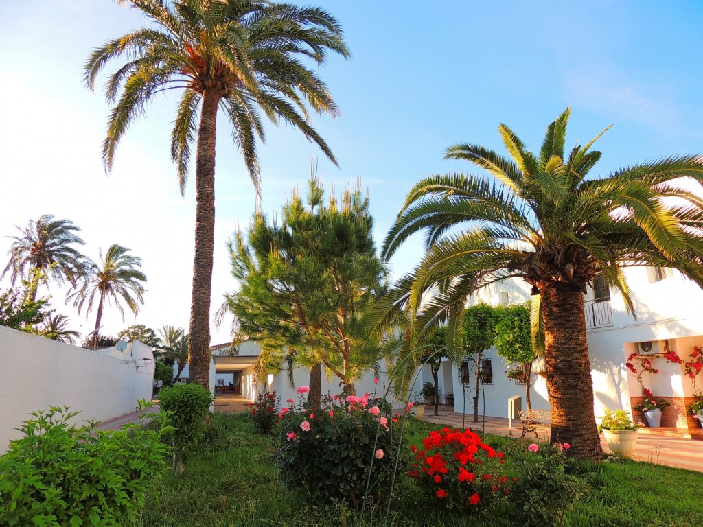 Foto: Plazuela del Paso - Sacramento (Sevilla), España