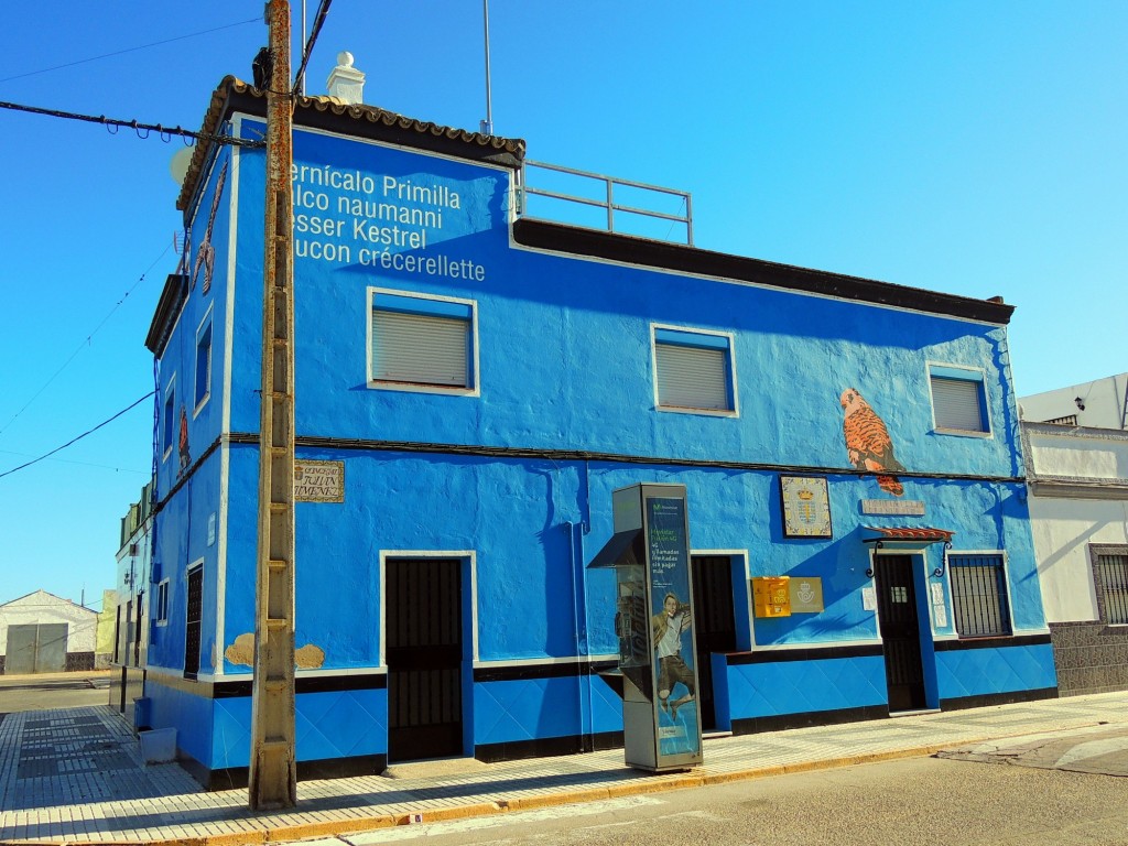 Foto: Ayuntamiento de Alfonso XIII - Alfonso XIII (Sevilla), España