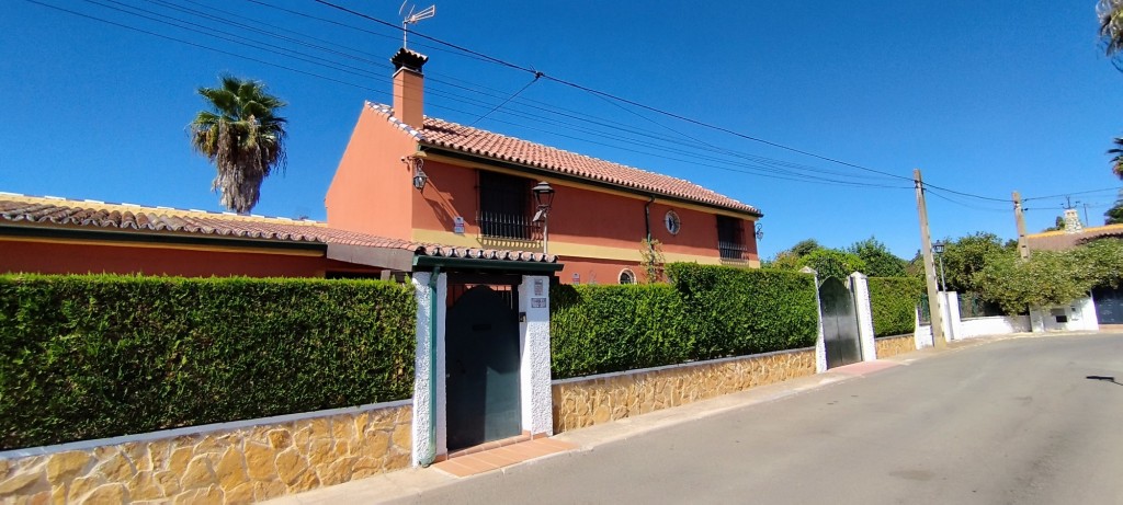 Foto: Harrillo - Espartinas (Sevilla), España