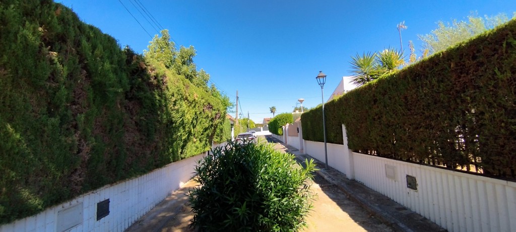 Foto: Pasillo - Espartinas (Sevilla), España