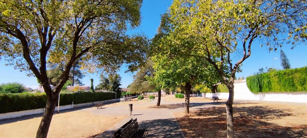 Foto: Fray Dionisio Ruiz Piedrahita - Espartinas (Sevilla), España