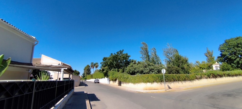Foto: Calle Camino del Loreto - Espartinas (Sevilla), España