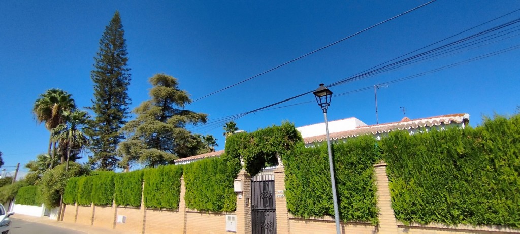 Foto: San José - Espartinas (Sevilla), España