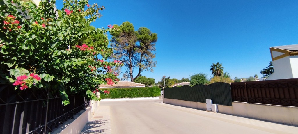 Foto: María Bárbara Tirado Rubio - Espartinas (Sevilla), España