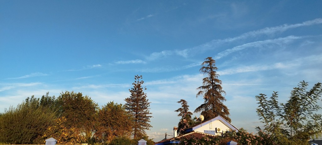 Foto: Rayado - Espartinas (Sevilla), España