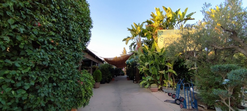 Foto: Viveros - Espartinas (Sevilla), España