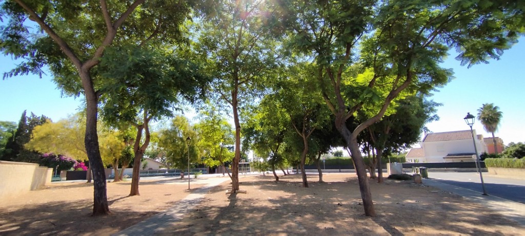 Foto: Plaza de Casa Pedro - Espartinas (Sevilla), España