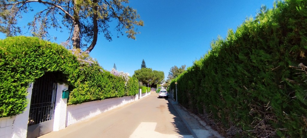 Foto: Calle Fray Antonio Gómez - Espartinas (Sevilla), España
