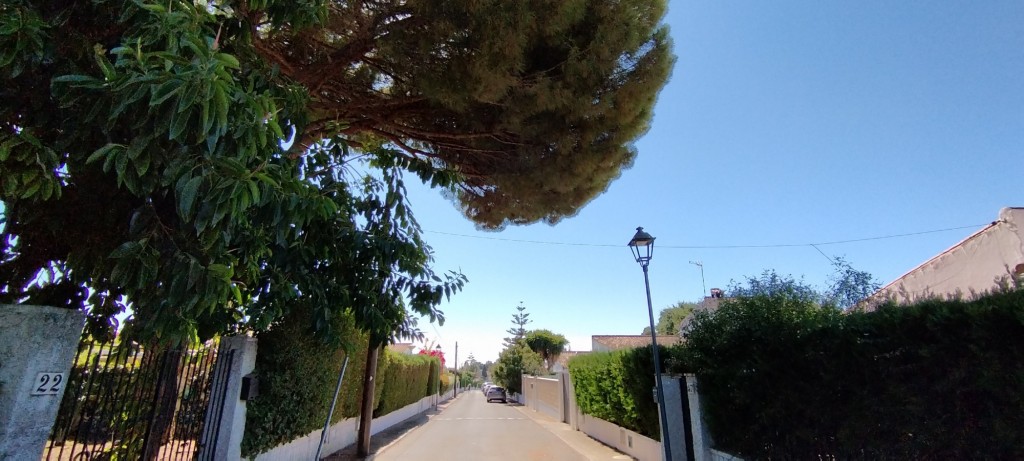 Foto: Calle Fray Jesús Colombo - Espartinas (Sevilla), España