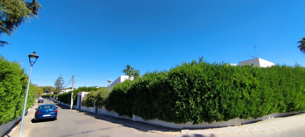 Foto: El Regocijo - Espartinas (Sevilla), España