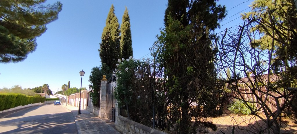 Foto: Virgen de Gracia - Espartinas (Sevilla), España