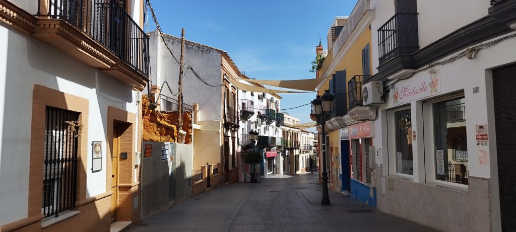 Foto: Martinella - Gines (Sevilla), España