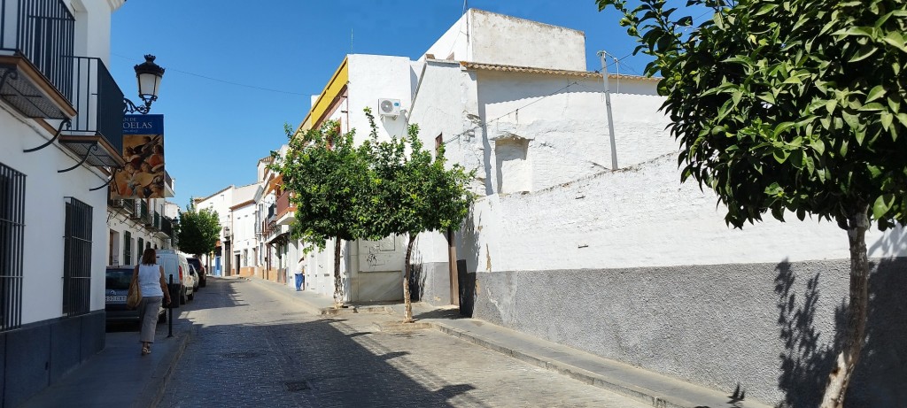 Foto: Calle Constitución - Olivares (Sevilla), España