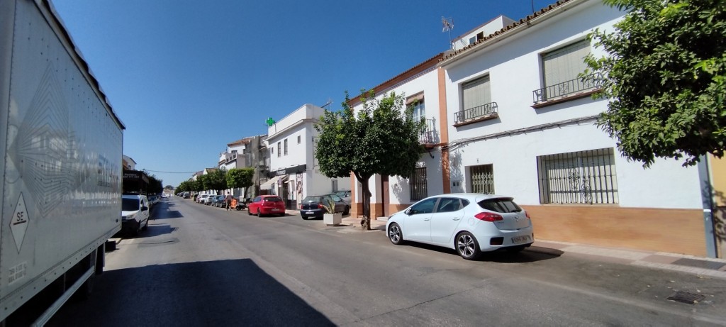 Foto: Avenida Andalucía - Olivares (Sevilla), España