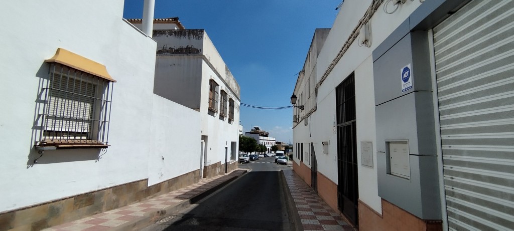 Foto: Avenida Virgen de Loreto - Olivares (Sevilla), España