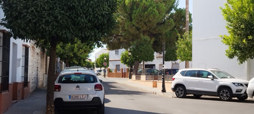 Foto: Calle Reina de las Marismas - Olivares (Sevilla), España