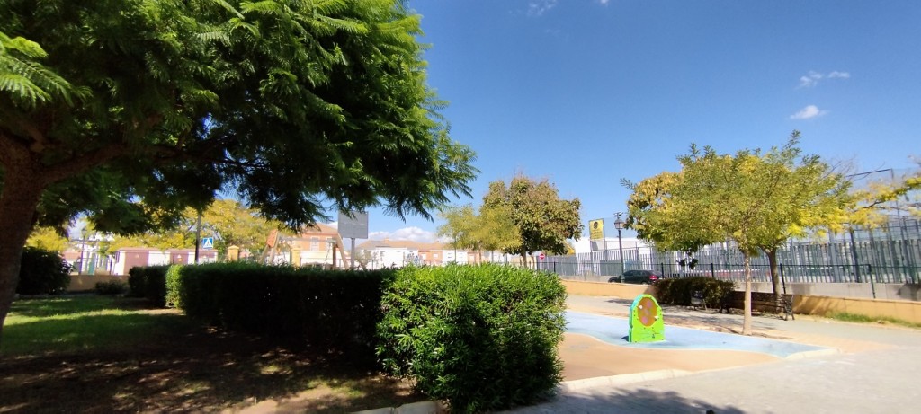 Foto: El Palomar - Olivares (Sevilla), España