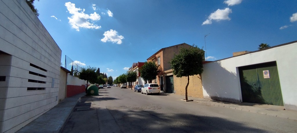 Foto: Avda. Raya Real - Olivares (Sevilla), España