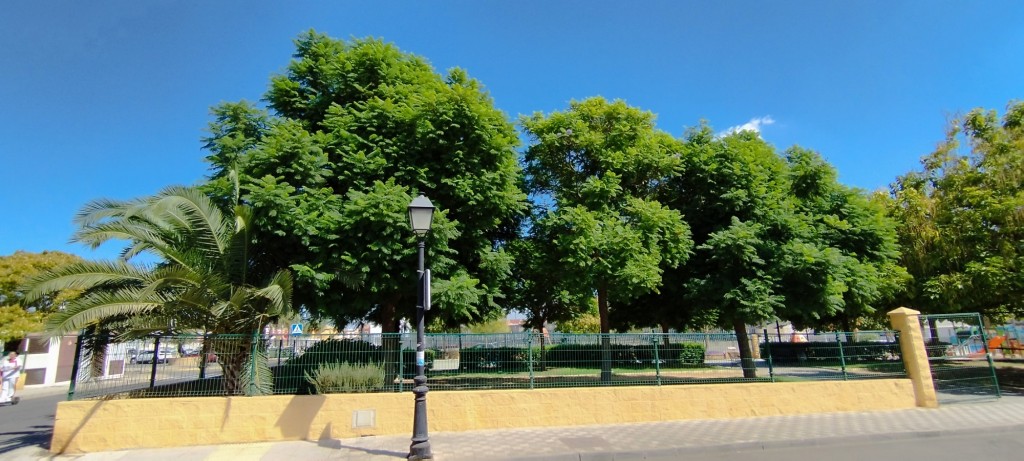 Foto: Plaza America - Olivares (Sevilla), España