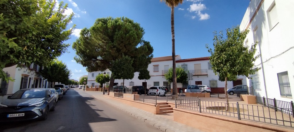 Foto: Plaza San Miguel - Olivares (Sevilla), España