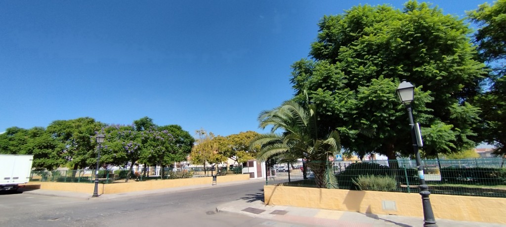 Foto: Avda. Andalucía - Olivares (Sevilla), España