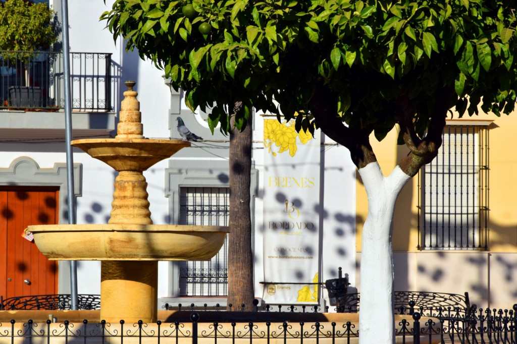 Foto: La fuente y la paloma - Brenes (Sevilla), España