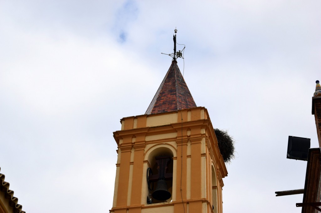 Foto: Campanario - Benacazón (Sevilla), España
