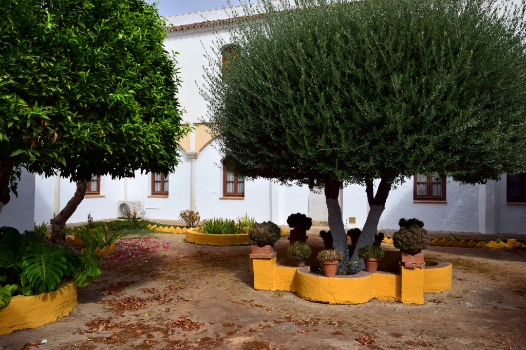 Foto: Patio - Benacazón (Sevilla), España