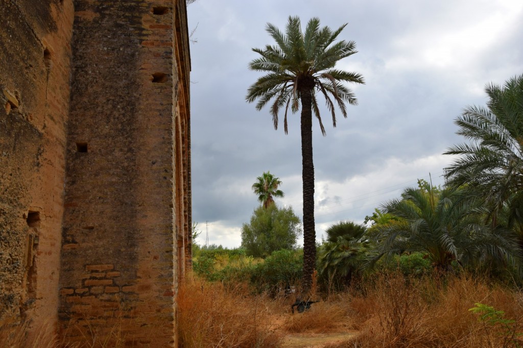 Foto: Ermita de Castilleja de Talhara - Benacazón (Sevilla), España