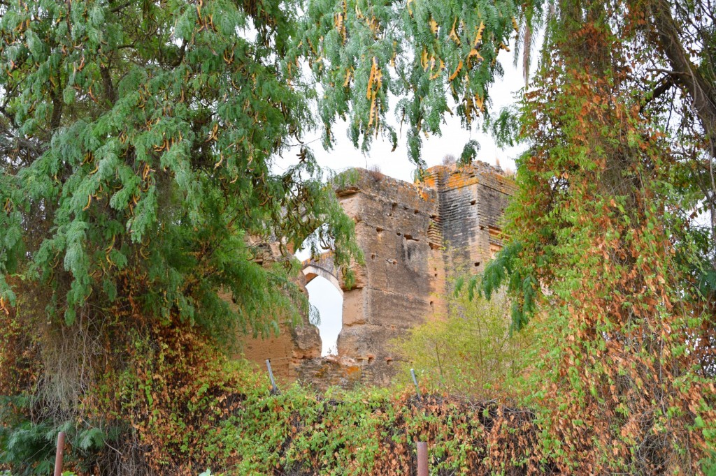 Foto: Hacienda de Castilleja de Talhara - Benacazón (Sevilla), España