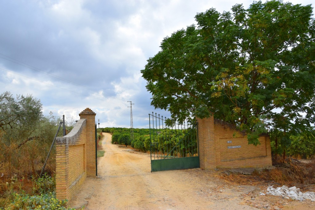 Foto: Hacienda de Castilleja de Talhara: - Benacazón (Sevilla), España