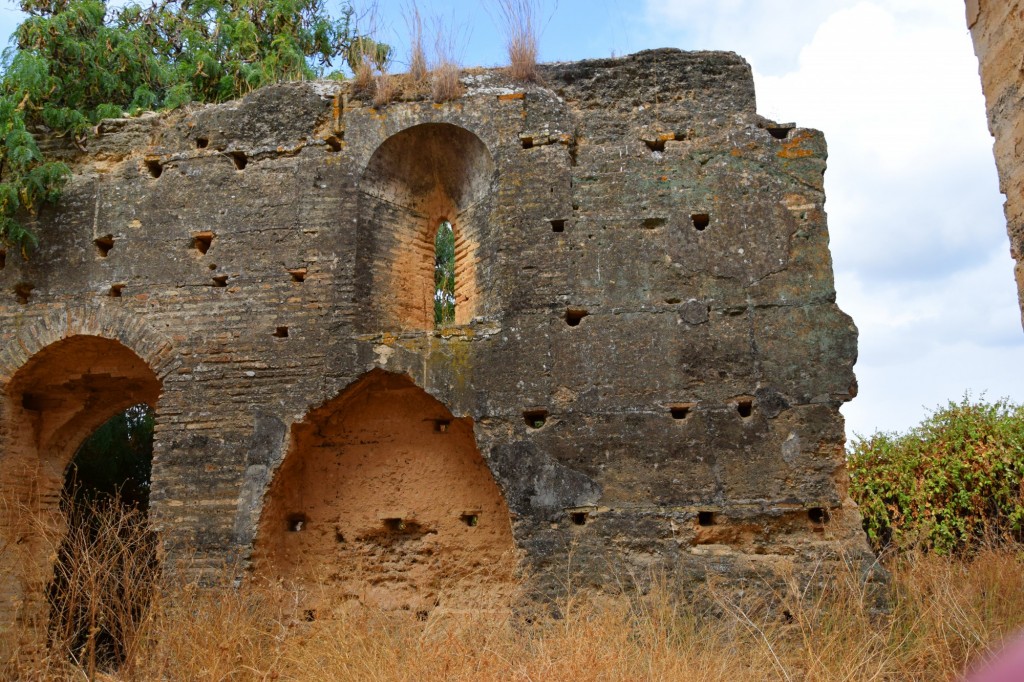 Foto: Ermita de Castilleja de Talhara - Benacazón (Sevilla), España