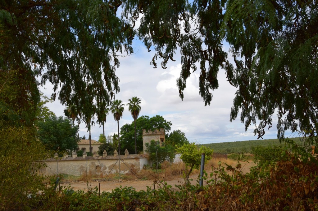 Foto: Ermita de Castelleja de Talhara - Benacazón (Sevilla), España