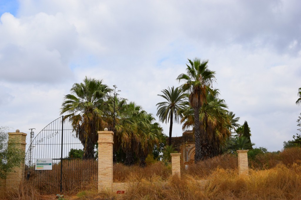 Foto: Hacienda de Castilleja de Talhara: - Benacazón (Sevilla), España