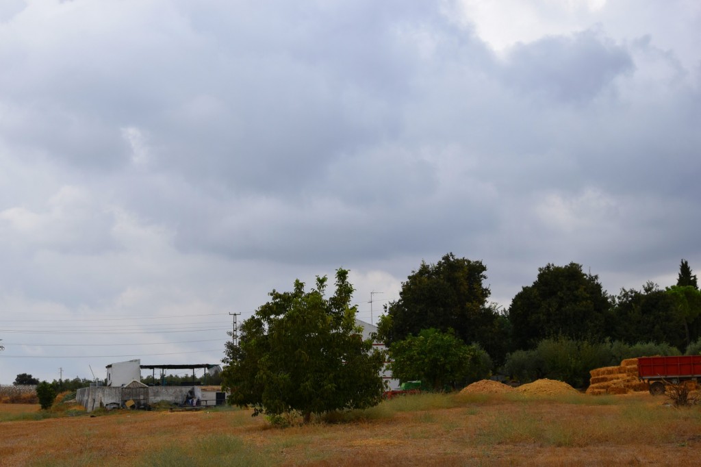 Foto: Hacienda de Castilleja de Talhara - Benacazón (Sevilla), España