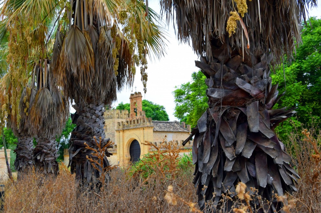 Foto: Hacienda de Castilleja de Talhara - Benacazón (Sevilla), España