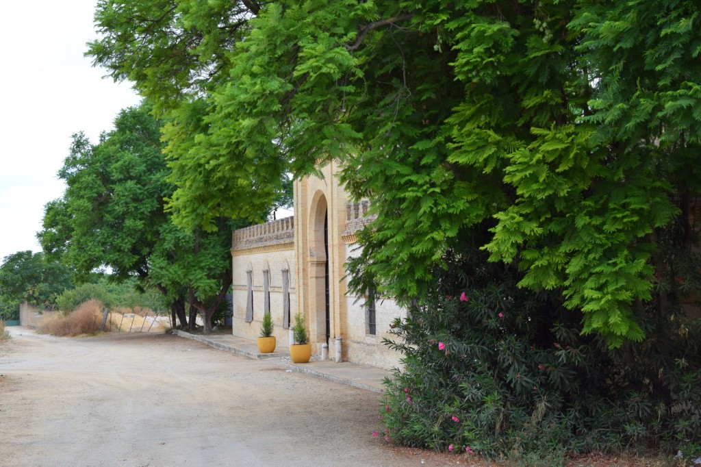 Foto: Hacienda de Castilleja de Talhara - Benacazón (Sevilla), España