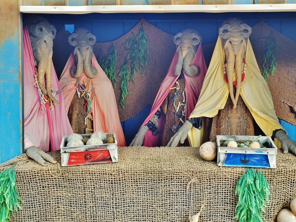 Foto: Puerto espacial - Valoria la Buena (Valladolid), España