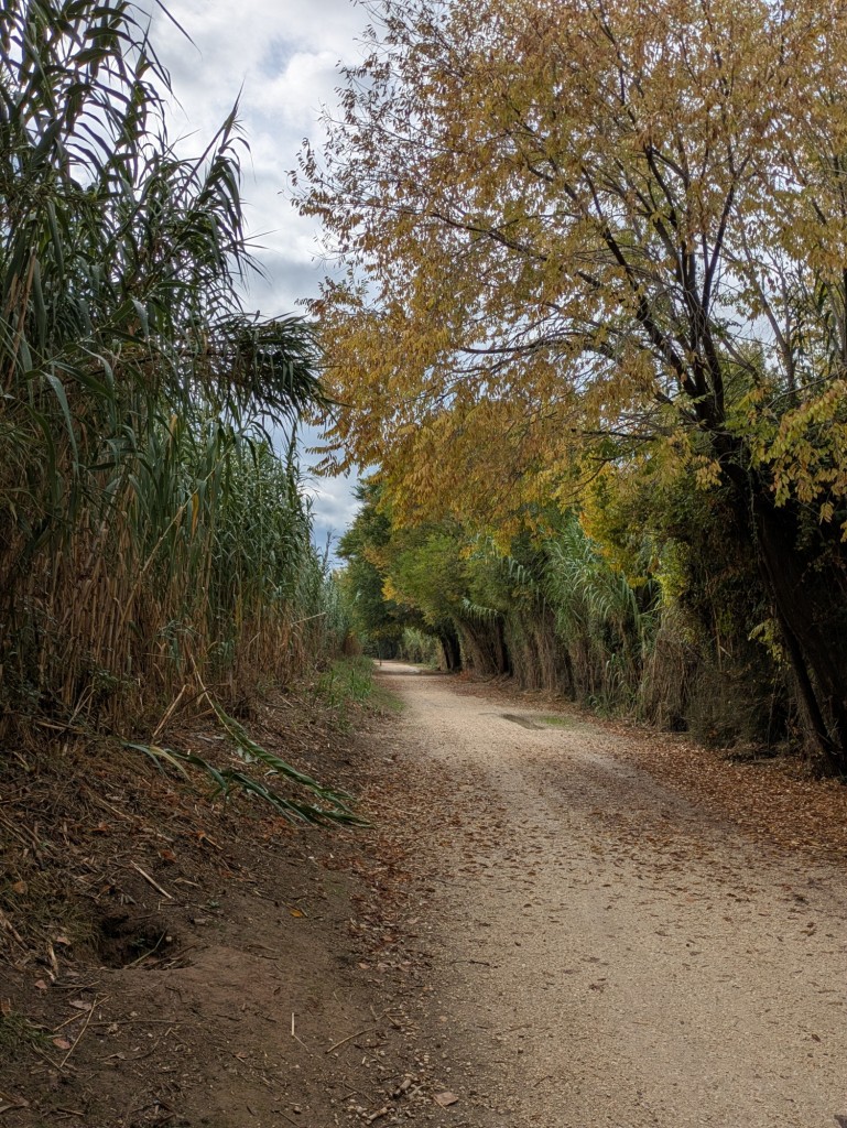 Foto: Otoño en el valle del Jalón - Calatayud (Zaragoza), España