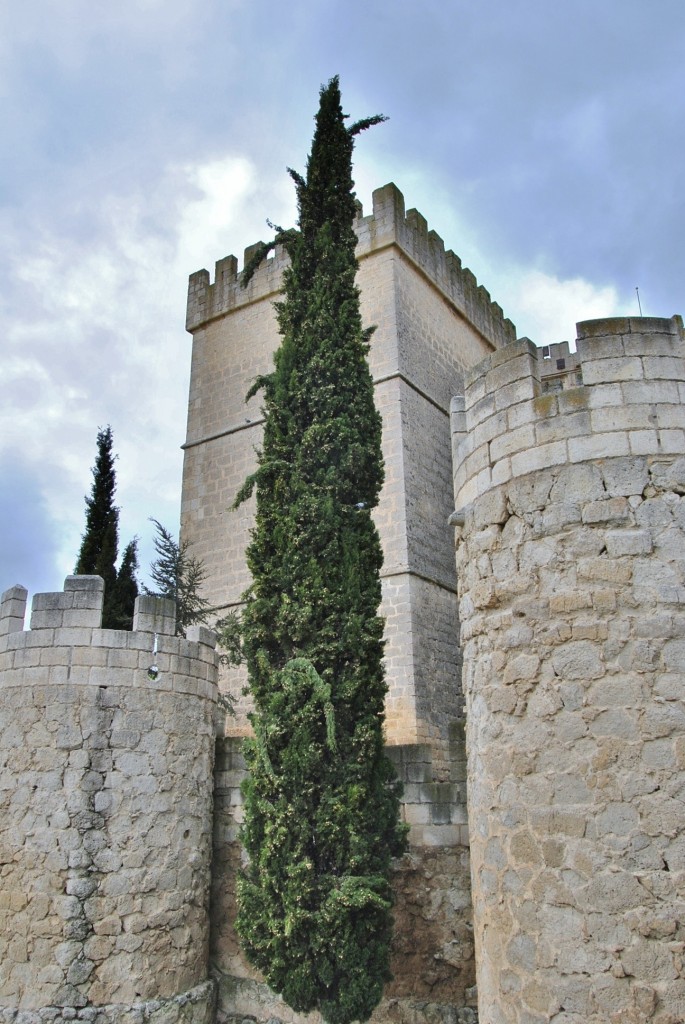 Foto: Castillo - Ampudia (Palencia), España