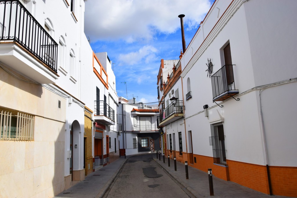 Foto: Calle Husillo Real - Los Palacios y Villafranca (Sevilla), España