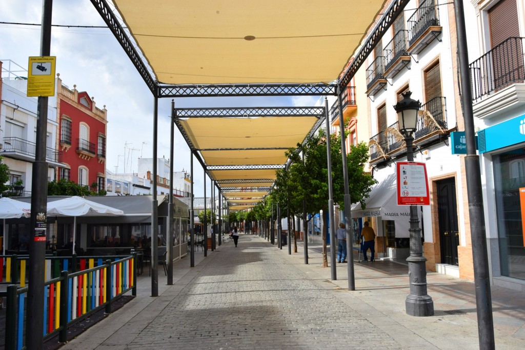 Foto: Parasoles y Plaza España - Los Palacios y Villafranca (Sevilla), España