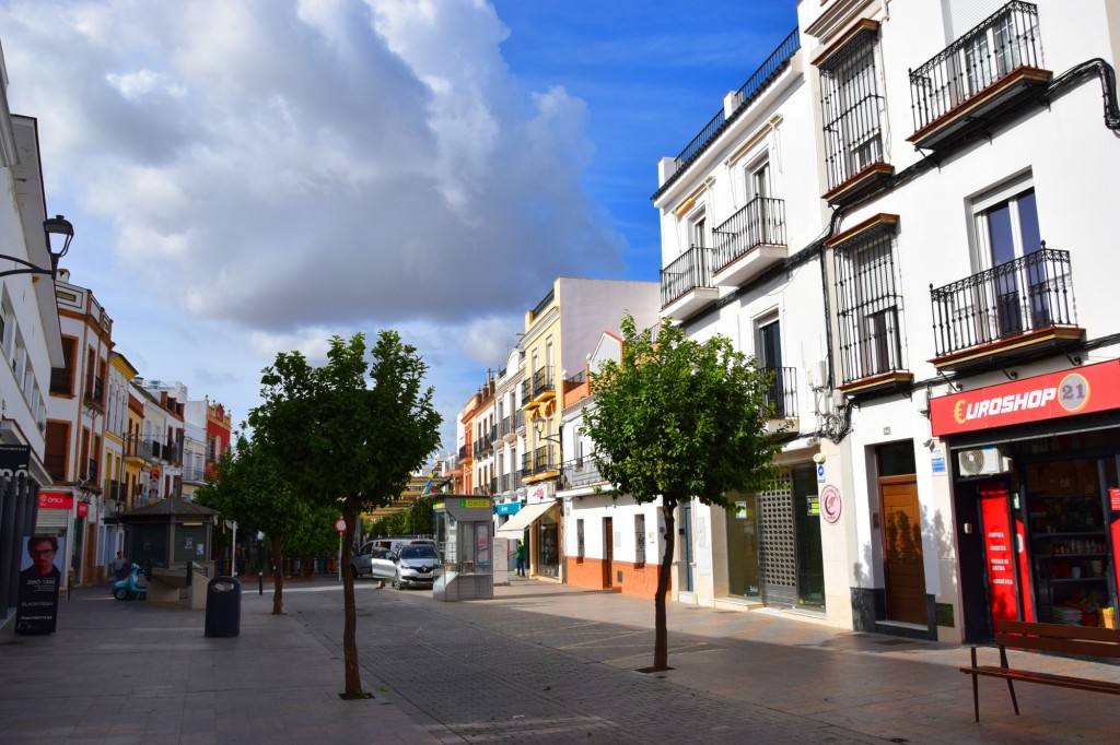 Foto: Plaza España - Los Palacios y Villafranca (Sevilla), España