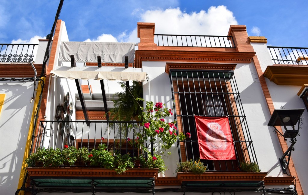 Foto de Los Palacios y Villafranca (Sevilla), España