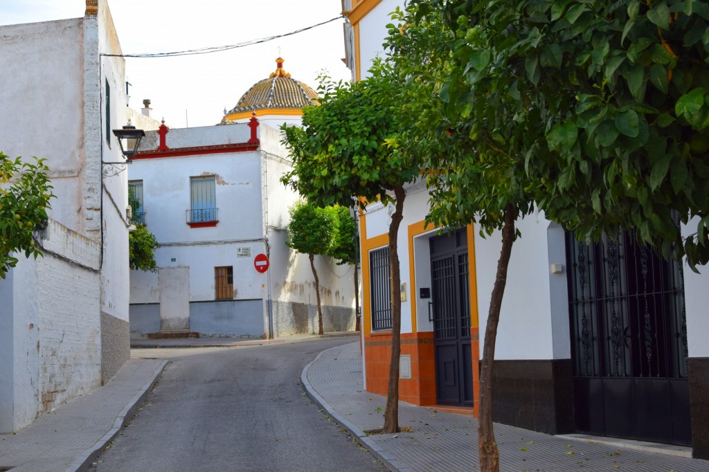 Foto: Calle Ntra. Sra. de las Nieves - Los Palacios y Villafranca (Sevilla), España