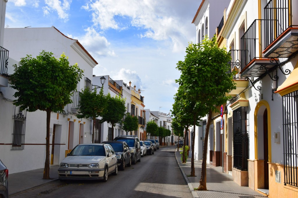 Foto: Calle Antigua Hospital - Los Palacios y Villafranca (Sevilla), España