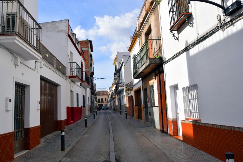 Foto: Calle Duque de Arcos - Los Palacios y Villafranca (Sevilla), España