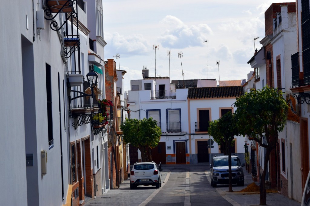 Foto de Los Palacios y Villafranca (Sevilla), España