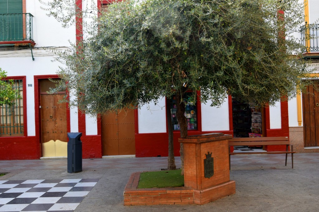 Foto: El Olivo - Los Palacios y Villafranca (Sevilla), España